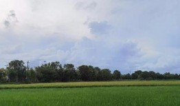 吃瓜前线第一人 怀仁最近网红大瓜,吃瓜前线揭秘怀仁最新热点事件