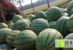 怀仁网红大瓜最新消息,揭秘背后惊人真相，网友热议不断！